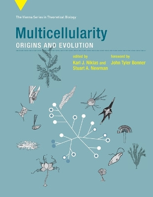 Multicellularity: Origins and Evolution by Karl J. Niklas 9780262545853
