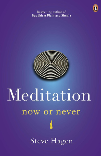 Meditation Now or Never Steve Hagen 9780718193041