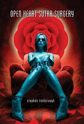 Open Heart Sutra Surgery by Stephen Roxborough 9780989201834