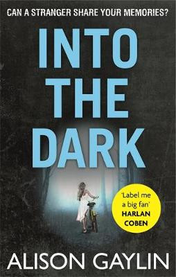 Into the Dark by Alison Gaylin