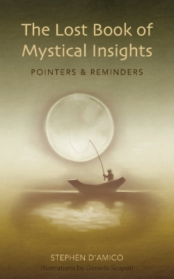 The Lost Book of Mystical Insights: Pointers & Reminders by Stephen D'Amico 9780973801033