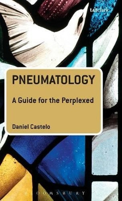 Pneumatology: A Guide for the Perplexed by Daniel Castelo 9780567461650