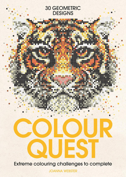 Colour Quest by Joanna Webster