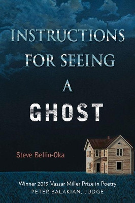 Instructions for Seeing a Ghost by Steve Bellin-Oka 9781574417876
