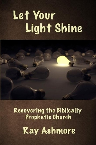 Let Your Light Shine by Ray Ashmore 9780557392254