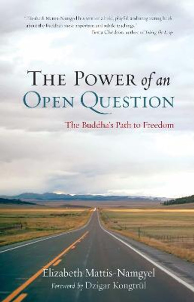 The Power Of An Open Question by Elizabeth Mattis-Namgyel