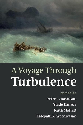 A Voyage Through Turbulence by Peter A. Davidson 9780521149310