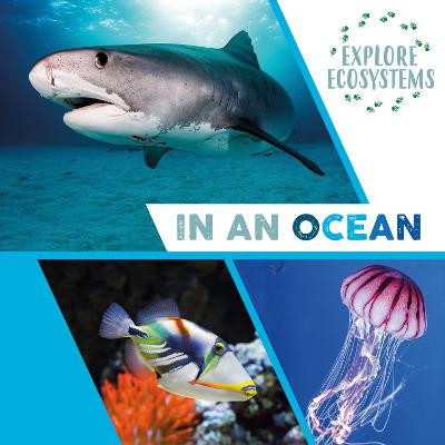 Explore Ecosystems: In an Ocean Sarah Ridley 9781526322272