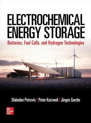 Electrochemical Energy Storage by Slobodan Petrovic