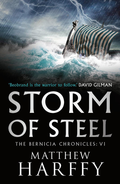 Storm of Steel by Matthew Harffy