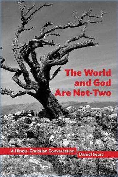 The World and God Are Not-Two: A Hindu–Christian Conversation by Daniel Soars