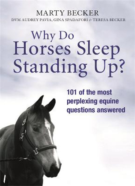 Why Do Horses Sleep Standing Up? by Marty Becker