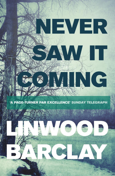 Never Saw it Coming by Linwood Barclay