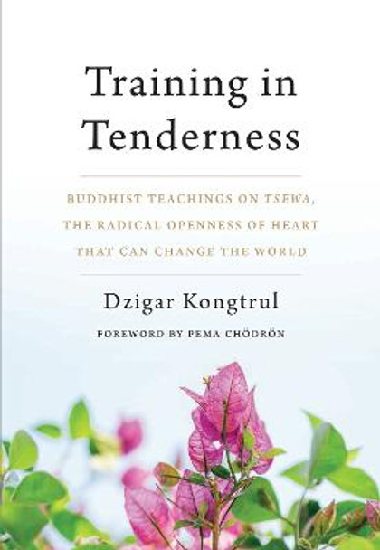 Training in Tenderness: Buddhist Teachings on Tsewa, the Radical Openness of Heart That Can Change the World by Dzigar Kongtrul