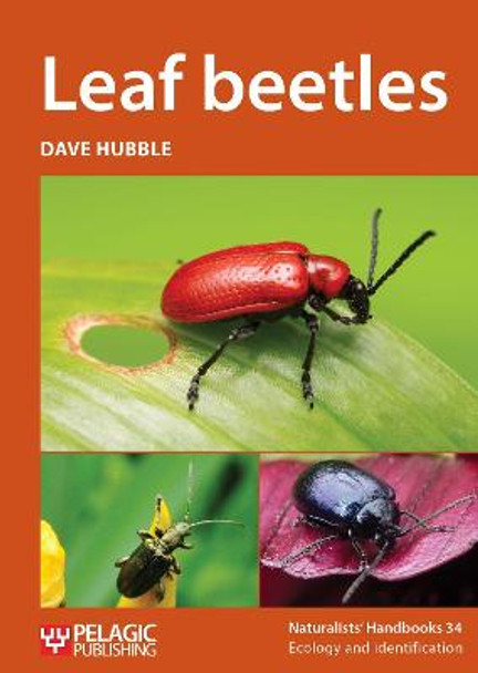 Leaf beetles by Dave Hubble