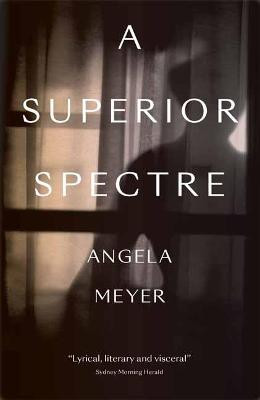 A Superior Spectre Angela Meyer 9781912235483