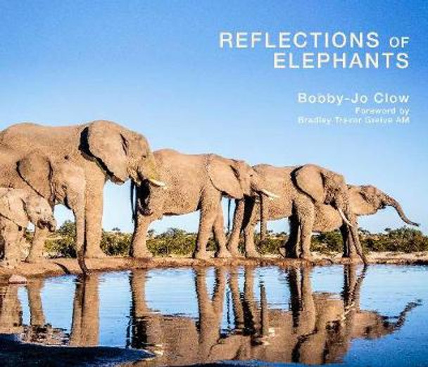 Reflections of Elephants by Bobby-Jo Clow