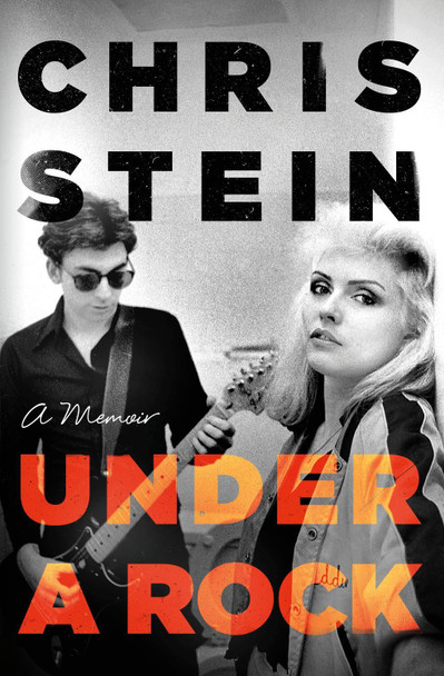 Under A Rock Chris Stein 9781472157669