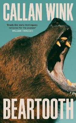 Beartooth Callan Wink 9781803510965