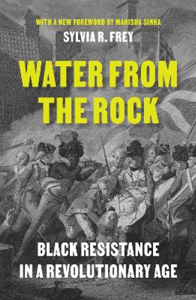 Water from the Rock: Black Resistance in a Revolutionary Age Sylvia R. Frey 9780691237787