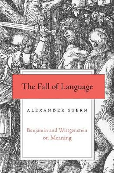 The Fall of Language: Benjamin and Wittgenstein on Meaning by Alexander Stern