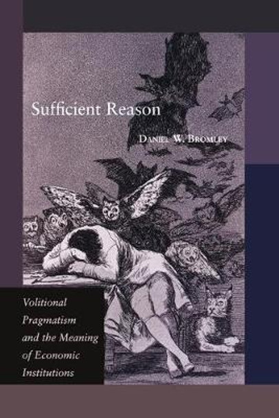 Sufficient Reason: Volitional Pragmatism and the Meaning of Economic Institutions by Daniel W. Bromley