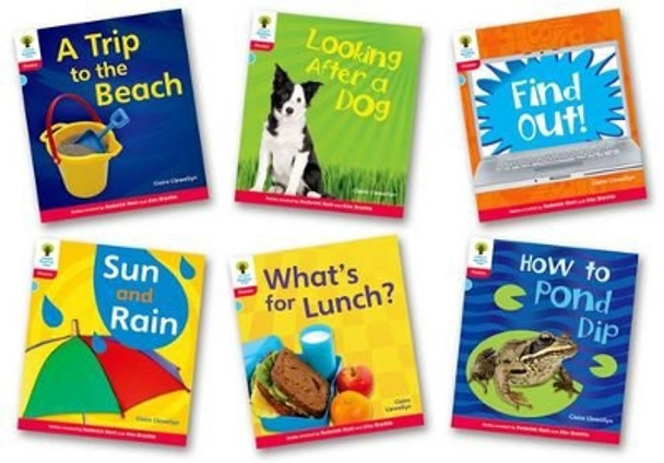 Oxford Reading Tree: Level 4: Floppy's Phonics Non-Fiction: Pack of 6 by Clare Llewellyn 9780198484578