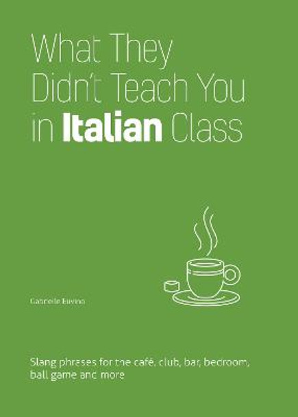 What They Didn't Teach You In Italian Class by Erin Coyne