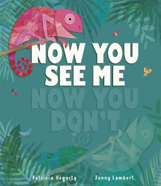 Now You See Me, Now You Don’t by Patricia Hegarty