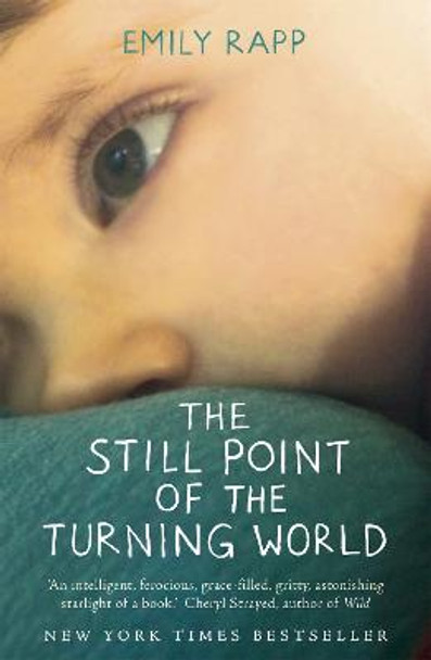 The Still Point of the Turning World by Emily Rapp