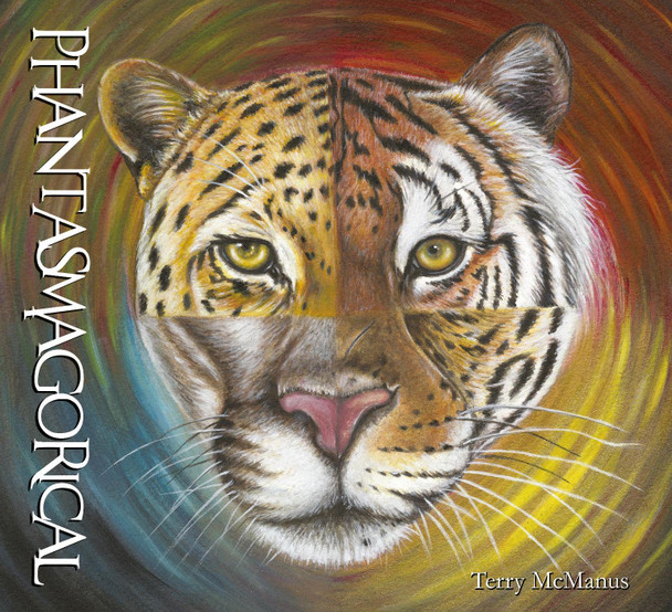 Phantasmagorical Terry McManus 9781836281405