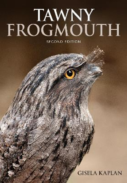 Tawny Frogmouth by Gisela Kaplan