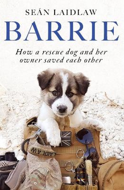 Barrie: How a rescue dog and her owner saved each other by Sean Laidlaw