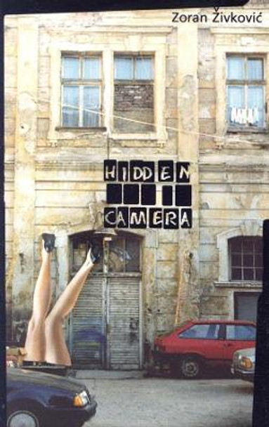 Hidden Camera by Zoran Zivkovic