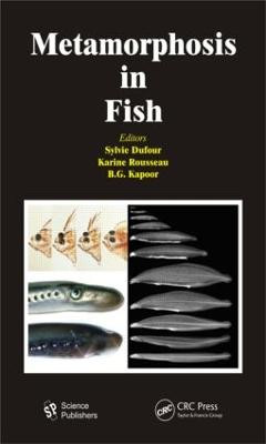 Metamorphosis in Fish by Sylvie Dufour