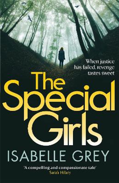 The Special Girls: an addictive and heart-stopping crime thriller with a shocking twist by Isabelle Grey