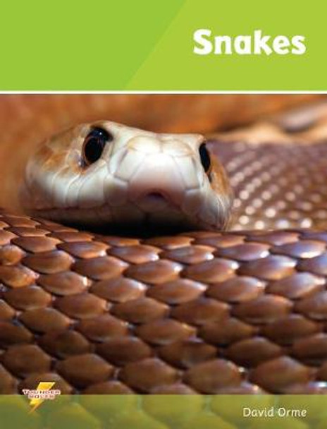 Snakes: Set 1 by David Orme