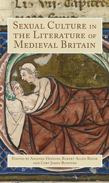 Sexual Culture in the Literature of Medieval Britain by Amanda Hopkins