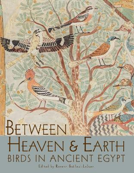 Between Heaven and Earth: Birds in Ancient Egypt by Rozenn Bailleul-LeSuer