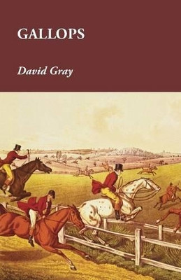 Gallops by David Gray 9781473327313