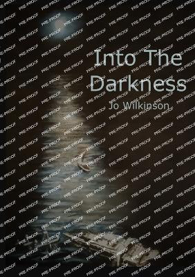Into the Darkness by Jo Wilkinson 9781914245893