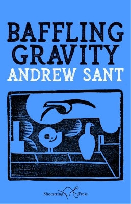 Baffling Gravity by Andrew Sant 9781912524167