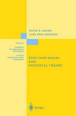 Function Spaces and Potential Theory by David R. Adams 9783540570608