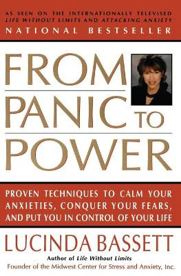 From Panic to Power by Lucinda Bassett