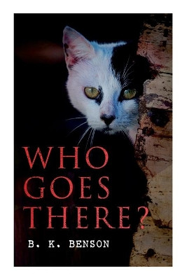 Who Goes There?: The Story of a Spy in the Civil War by B K Benson 9788027341054