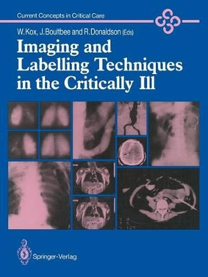 Imaging and Labelling Techniques in the Critically Ill by Wolfgang Kox 9781447114420