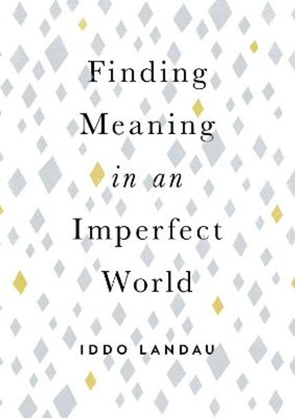 Finding Meaning in an Imperfect World by Iddo Landau