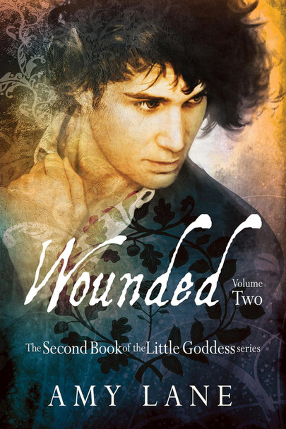Wounded, Vol. 2 by Amy Lane 9781634764469