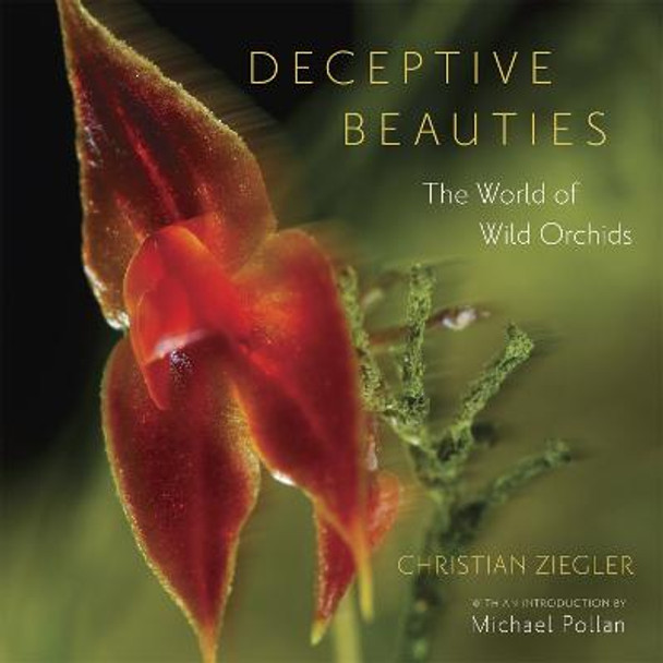 Deceptive Beauties: The World of Wild Orchids by Christiane Ziegler