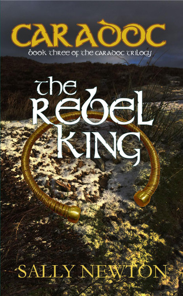 Caradoc - The Rebel King: Book 3 of the Caradoc Trilogy by Sally Newton 9781909936157